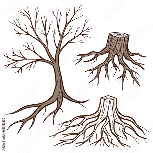 Various brown tree or shrub roots. Parts of plant, root system with tree stump. Dendrology, study of woody plants. Sketch drawing. Vector illustration