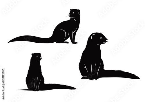 Musang Elegant Silhouette Collection of Mongooses