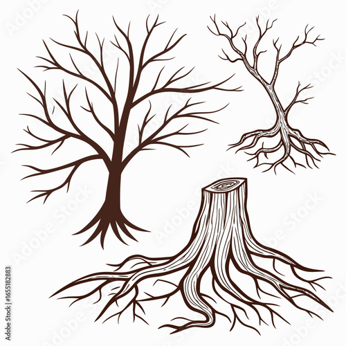 Various brown tree or shrub roots. Parts of plant, root system with tree stump. Dendrology, study of woody plants. Sketch drawing. Vector illustration