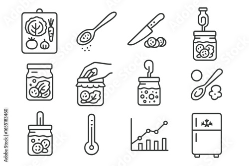 Fermentation Process Icons. Line style icons of fermentation process steps: ingredient prep board, salt measurement spoon,