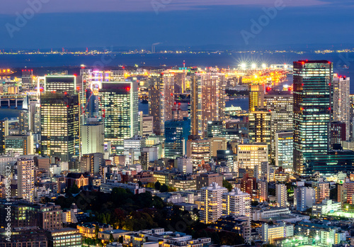 Photography Tokyo city skyline at sunset, Japan