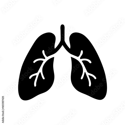Lungs anatomy human respiratory system pulmonary medicine health organ trachea bronchial tree silhouette vector