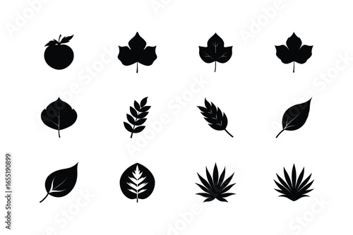 Silhouette set of leaves plants and fruit icons Vector illustration