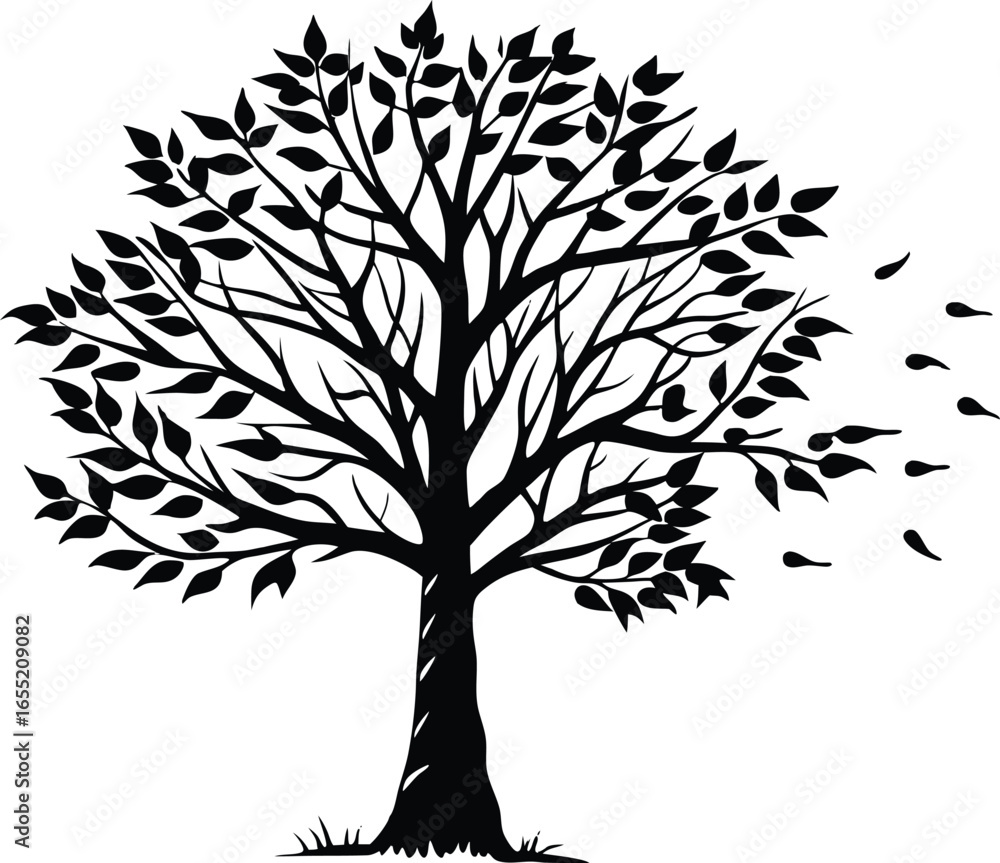 Obraz premium Lonely Birch Tree Silhouette | Birch Tree Outline Illustration