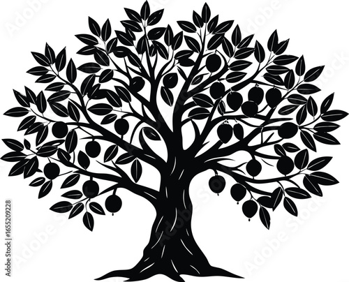 Olive Tree with Fruits Silhouette | Olive Tree Outline Illustration
