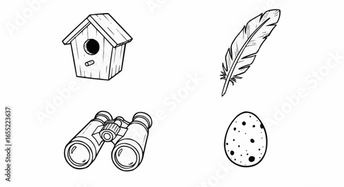 Birdhouse, binoculars, feather, and egg in hand-drawn style  