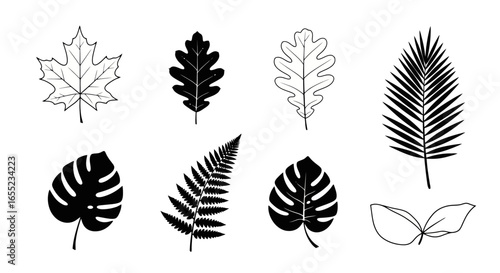 Botanical Line Art Collection Featuring Diverse Leaf Illustrations for Educational Resources, Nature Guides, and Artistic Projects on Flora and Plant Identification