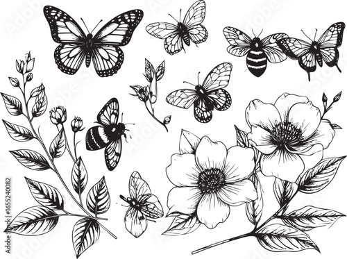 Vintage Pollinators: A Butterfly and Bee Collection