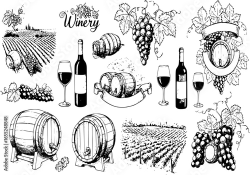 Hand drawn winery elements set, engraving style vector illustration isolated.
