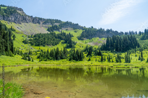 Fototapeta Naklejka Na Ścianę i Meble -  Lush Nature and Forests at Mount Rainier, Pacific Northwest