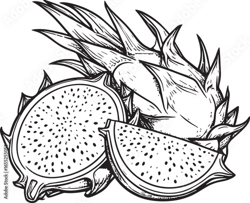 Dragon Fruit Vector