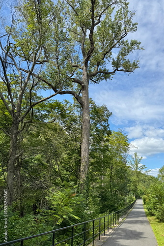 Easy to walk on pathway in Bronx river Parkway Reservation, New York