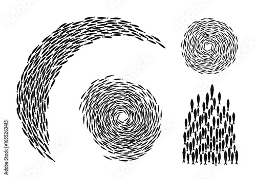 Depiction of Various Schooling Patterns and Movements Observed in Fish Populations Illustrating Collective Behavior and Hydrodynamic Advantages