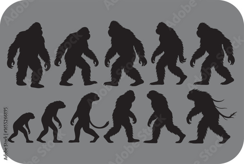 Sasquatch evolution silhouette a visual journey from primate to mythical creature depicting the hypothetical development of bigfoot