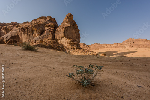 Wadi Rum landscape: AlUla, Saudi Arabia
