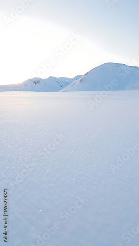 Vast Snowy Landscape Under a Pale Sky