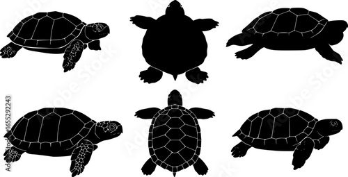 turtle top view silhouette on white background vector
