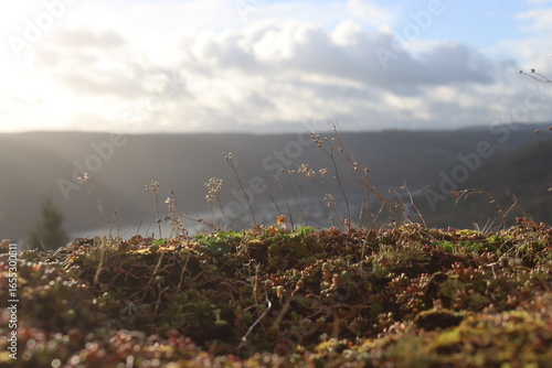 morning fog in the mountains