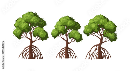 Stylized mangrove tree trio on an isolated white background in a minimalistic flat vector design style illustration portraying resilience and nature
