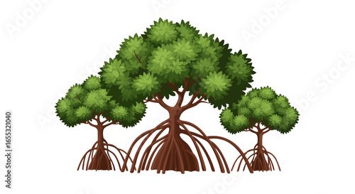 Stylized mangrove tree illustration with extensive root systems and verdant foliage against a clear background