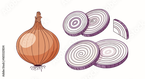 A Colorful Cartoon Illustration of Whole and Sliced Onions on a Plain Background