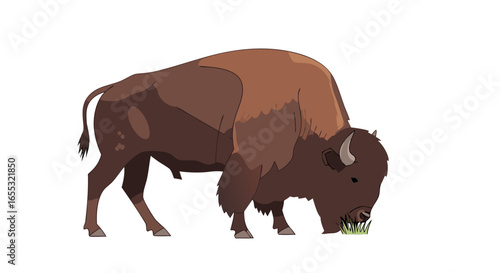 Cartoon american bison grazing peacefully on isolated white background in digital art illustration style presentation and design buffalo