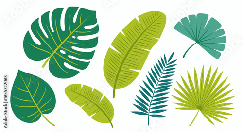 Botanical illustration with diverse tropical foliage species, rendered in a flat, stylized vector format for design usefullness