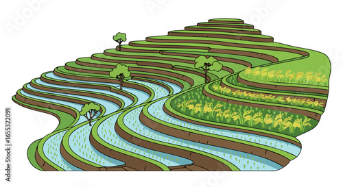 A Serene Illustration of Tiered Rice Fields with Lush Greenery and Waterways Depicting Agricultural Harmony