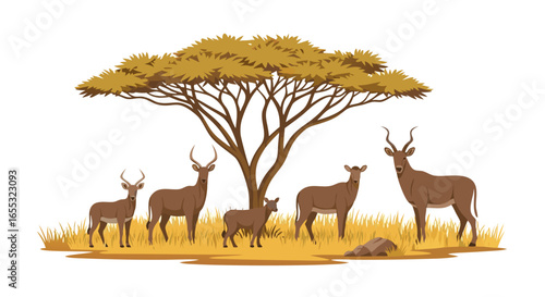 Cartoon Style of Wildlife in African Savanna with a Family of Waterbucks Resting Under the Tree in the Grassland plains