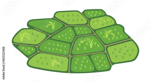 Vibrant rice terraces vector illustration depicting sustainable agriculture practices and rural landscape cultivation techniques
