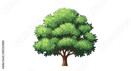 Lush green tree illustration with detailed foliage and sturdy brown trunk against a pure white backdrop showcasing nature's beauty