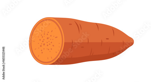 Vibrant Carrot Slice Illustration showcasing a fresh, simple design on a clean white backdrop creating a visually appealing and nutritious image