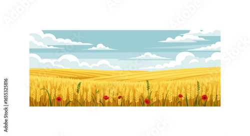 Golden wheat field with fluffy clouds, evokes warmth and rural charm, perfect for backgrounds and agricultural themes creating a serene and peaceful