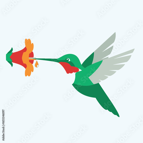 Cartoon hummingbird with long beak feeding on a colorful flower illustration.