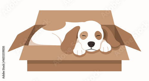 Cozy Pup in a Box: A charming illustration of a sleeping puppy comfortably nestled inside a cardboard box, showcasing innocence and domestic tranquility.