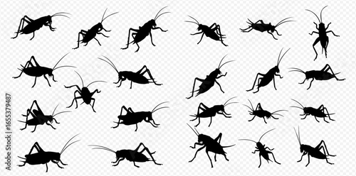 A collection of black cricket silhouettes in various poses and angles on a transparent background.