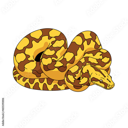 Professional vector illustration of a Jamaican boa in sleek modern design with sharp lines and vibrant yellow-brown colors, capturing its elegant coiled form.