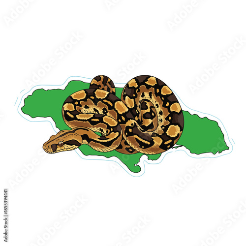 Striking vector illustration of an endangered Jamaican boa coiled on its island map, in minimalist design, highlighting the urgency of its conservation.