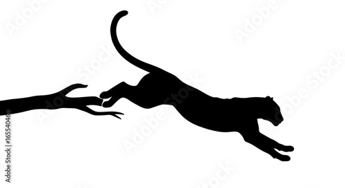 majestic panther leaping towards reaching hand powerful silhouette for wildlife nature and conservation designs
