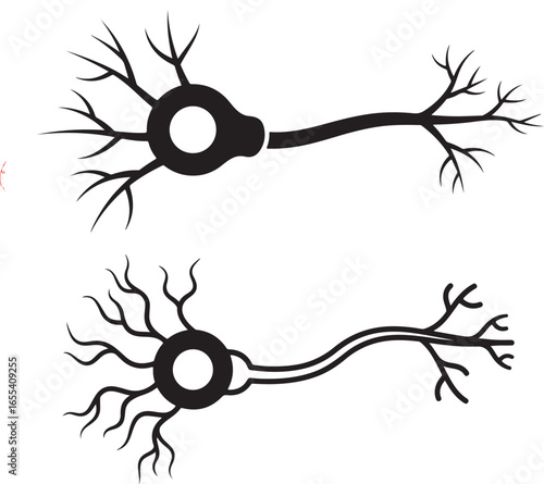 Neuron cell design, vector illustration