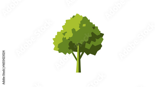 Green Tree Illustration