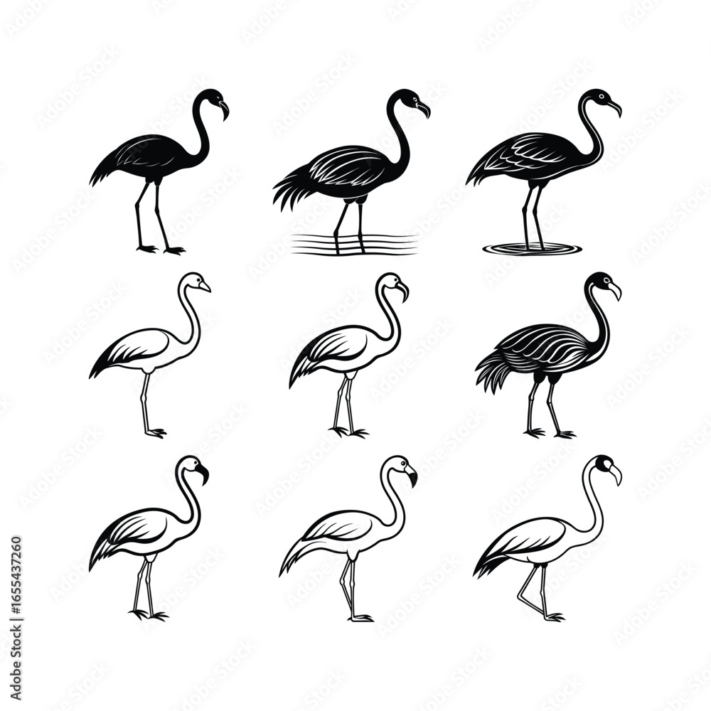 Obraz premium Black white silhouette flamingo standing bird