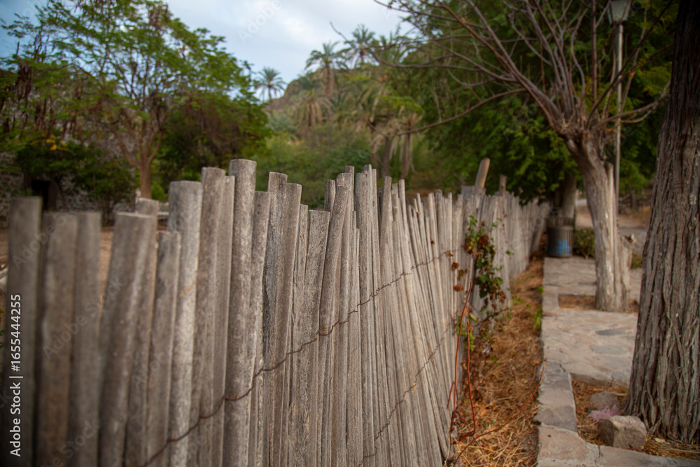 Fototapeta premium SAN JOSE Y SAN MIGUEL DE COMONDU BAJA CALIFORNIA SUR MEXICO LOS COMONDUS