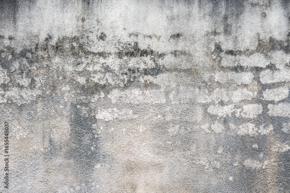 Fototapeta premium Full frame shot of textured and background of the old cement wall.