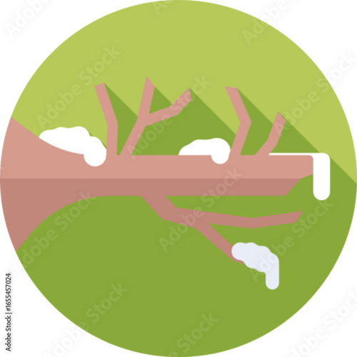 Tree Branch Nature