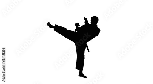 powerful karate silhouette highimpact image for martial arts websites fitness blogs and actionoriented designs