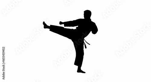 powerful silhouette of a martial artist executing a high kick perfect for websites marketing materials and designs needing a dynamic actionoriented image
