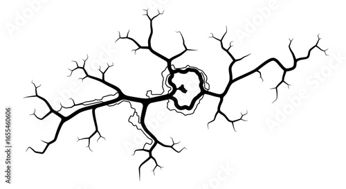 abstract black branching network perfect for technology biology or nature designs illustrating complexity connectivity and growth