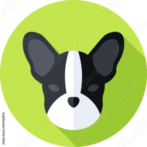 Cute Dog Pet