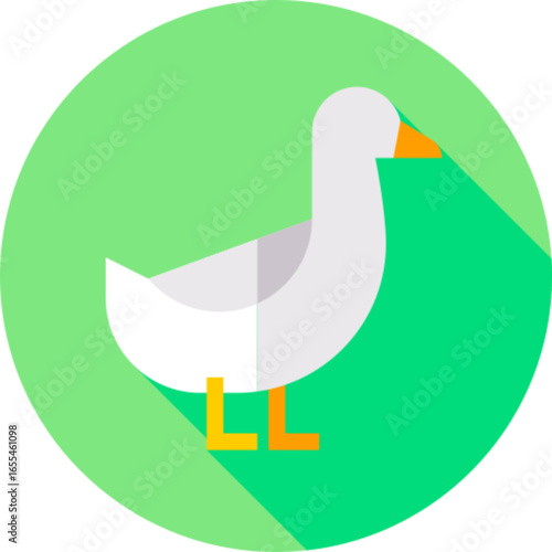 Farm Duck Poultry